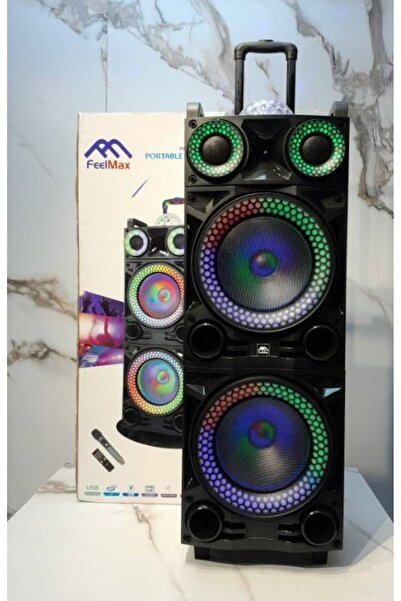FEELMaX FL880 Double 10" Professional Portable Speaker System