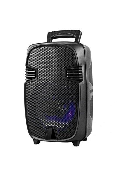 FEELMaX 15" Professional Pair Speaker System