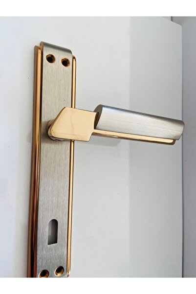 Sofuoğlu Linda Aynalı Oda Kapı Kolu Çift Renk Albfrin/Saten