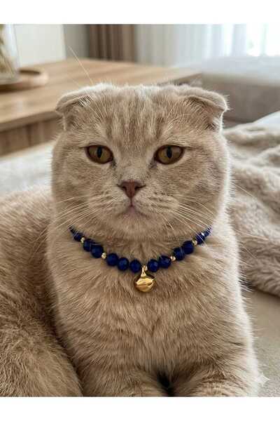 Ralp Moda قلادة كريستال للقطط مكونة من مرصّع بالأحجار حلقات