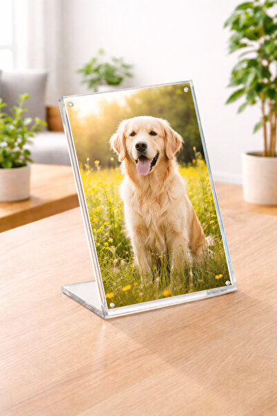 PLEXIROM Inclined magnetic photo frame L 21 x H 30 cm, A4 Portrait format, Sh...