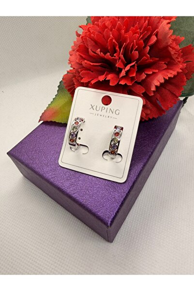 XUPING JEWELRY Jeweler's Series Bird Eye Zircon Stone Circle Steel Earrings