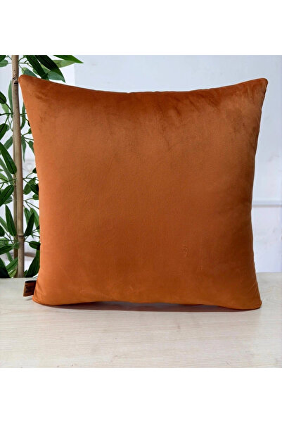 Elanora Home غطاء وسادة فاخر ناعم من المخمل باللون الأخضر الفاتح، ذو ملمس ناع...