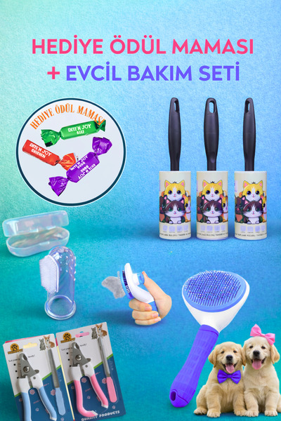 BOXLAND 4 Parça Bakım Seti– Tüy Toplama Rulosu Tüy Tarağı Pet Diş Fırçası Tır...