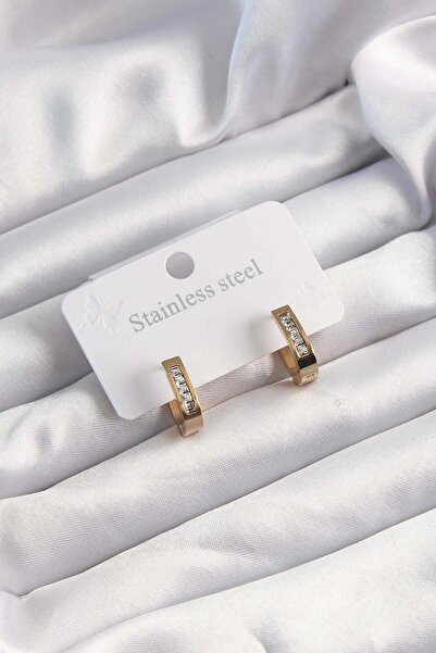 Inure Jewelry 316L Steel Gold Color Zircon Stone Hoop Model Earrings