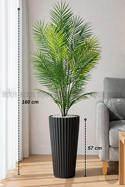 BİÇİÇEK 160 CM AREKA AĞACI 24 YAPRAKLI SİYAH LİLYUM SAKSIDA