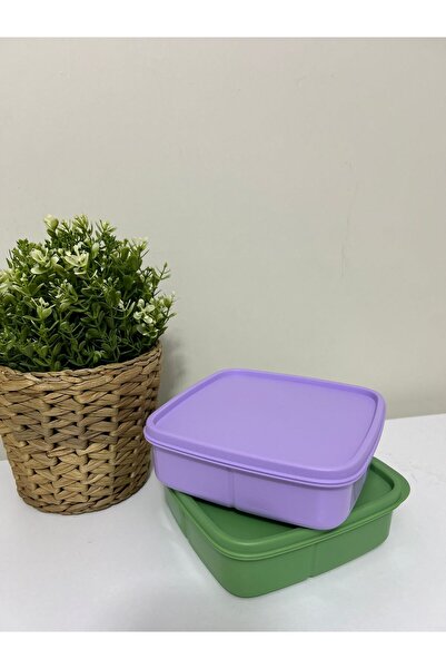 Tupperware Compartmented Lunch Box 2 Pieces 550 Ml.