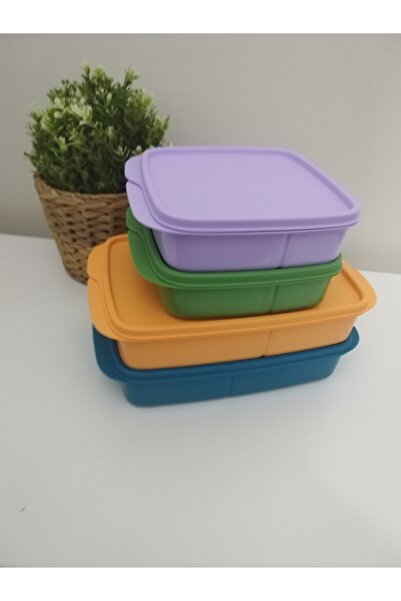 Tupperware Compartmented Lunch Box: 2 Pieces of 1 Lt and 2 Pieces of 550 Ml.