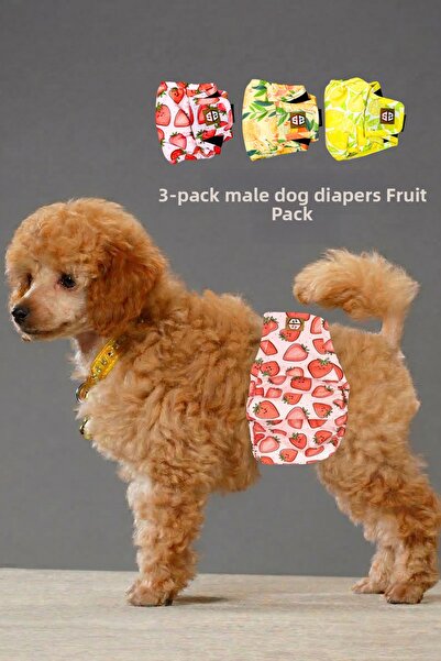 salya store Fruits Male Dog Pee Pads - Male Dog Underwear 3-Piece Advantageou...