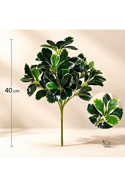 çiçek rengi dekor Premium Artificial Chef's Plant 40 cm – Realistic Looking D...