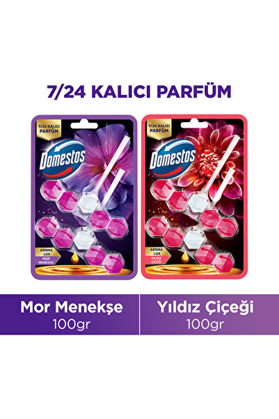 Domestos Aroma Lux Tuvalet Bloğu Mor Menekşe 100g x1 + Aroma Lux Tuvalet Bloğ...