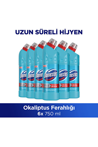 Domestos Çamaşır Suyu Yoğun Kıvamlı Okaliptus Ferahlığı 750 ml x6
