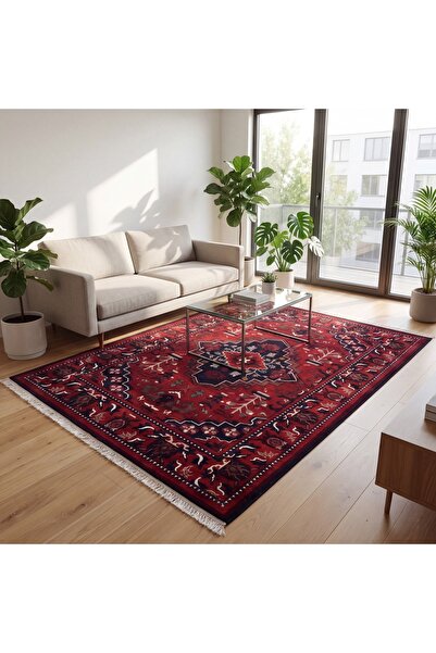 Segadty سجادة، بنقشة نيشابور مطبوع ، ناعمة، سجاد تراثية لجميع المساحات، للمنز...