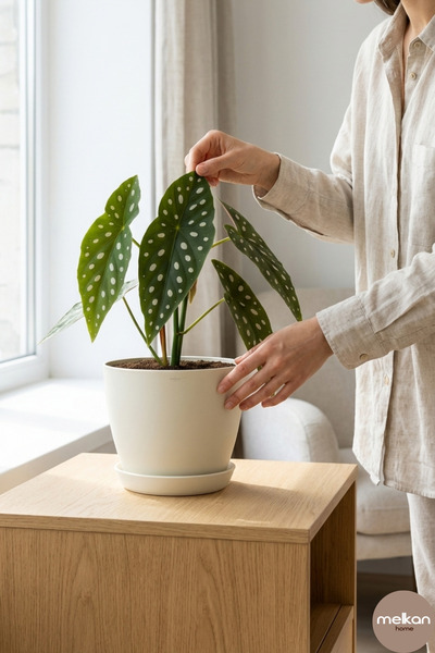Melkan Home 6 Litre Begonya Saksı – 22x21 cm Mat Bitki Saksısı | İç ve Dış Mekan Uyumlu Dayanıklı Çiçek Saksı