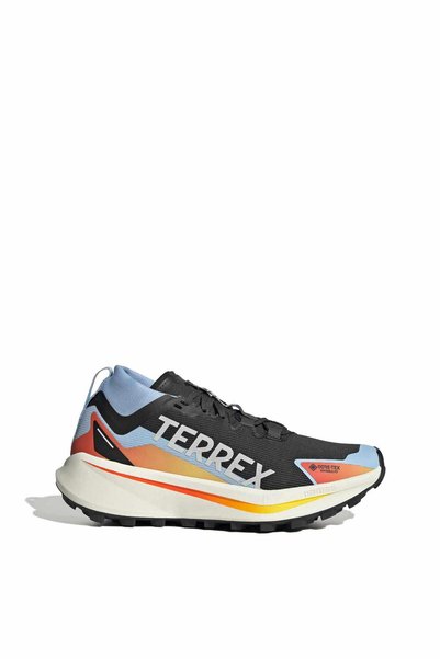 adidas Terrex Agravic GTX Arazi Koşu Ayakkabısı