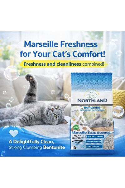 NORTHLAND 5 Lt Marsilya Sabun Kokulu Kedi Kumu