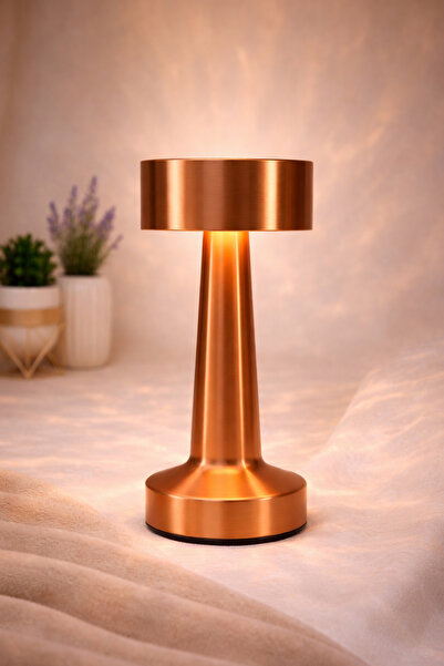 Telvesse Şarjlı Dokunmatik Masa Lambası Metal 3 Işık Parlaklık Ayarlı Gece Ma...