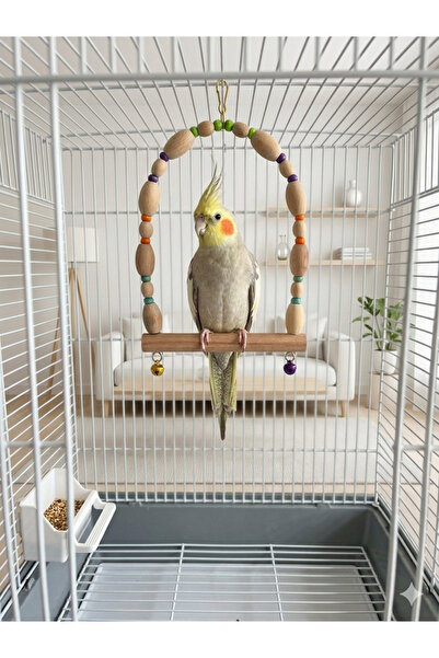 Wooden Bird Orta Boy Papağan Ahşap Salıncak