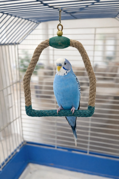 Wooden Bird أرجوحة موهابيت جوت بحبل (أزرق)