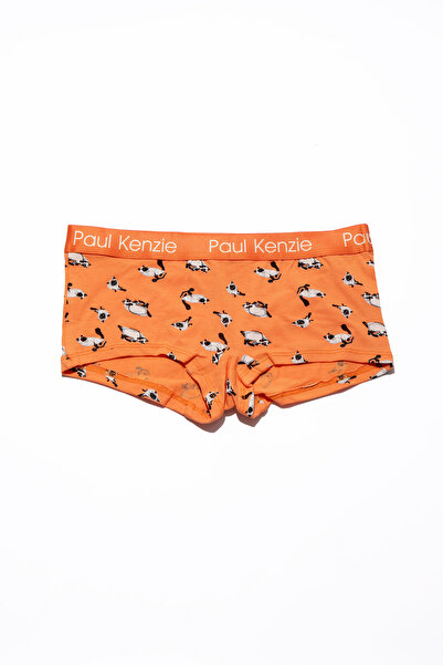 Paul Kenzie X Kurtaran Ev - Patterned Women's Boyshort Panties - Siyam