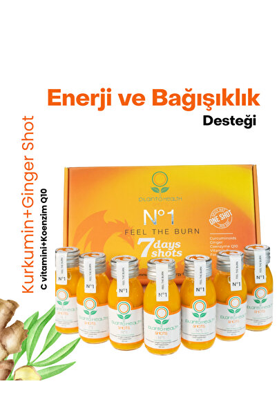 PlantoHealth Ginger Kurkumin Shot - Shots No1 Curcumin Gingerol (ZENCEFİL) C ...