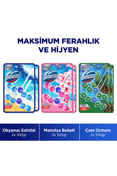 Domestos Tuvalet Bloğu 100 G Çam Ormanı 100 X2 Manolya Buketi 100 G X2 Okyanu...