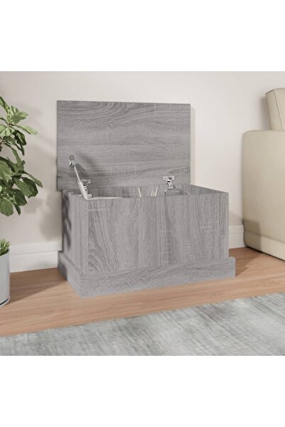 Concept Cutie de depozitare, gri sonoma, 50x30x28 cm, lemn prelucrat