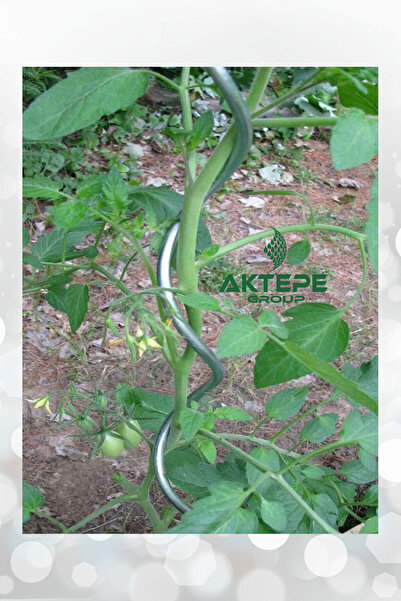 AKTEPE Group Bitki Teli 20 Adet 150 Cm Metal Spiral Bitki Çubuğu Bitki Bağlama Destek Teli Sebze Ve Çiçek Teli