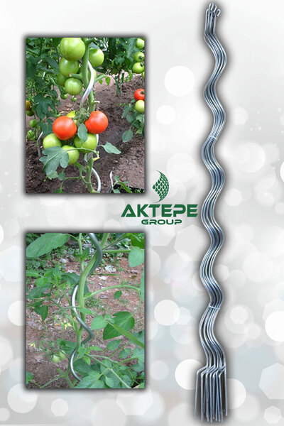 AKTEPE Group Bitki Teli 20 Adet 150 Cm Metal Spiral Bitki Çubuğu Bitki Bağlam...