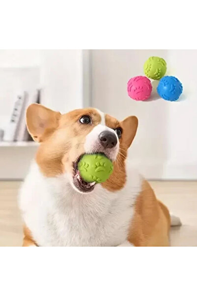 İsmiyle Al كرة متينة للكلاب على شكل مخلب مزخرف