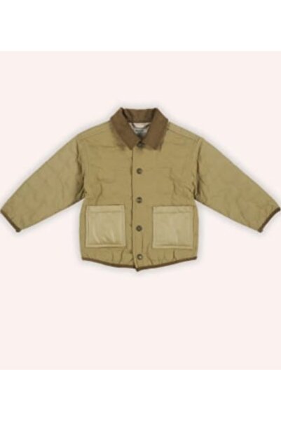 Panço ERKEK ÇOCUK KEDİ KAPİTONELİ MONT GK7022