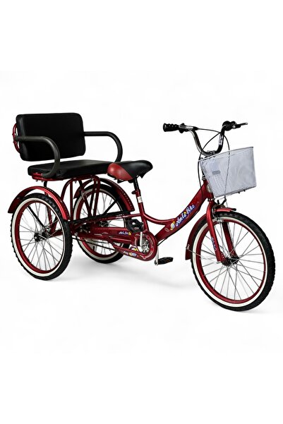 ALBADER دراجة ثلاثية العجلات للأطفال مقاس 20 بوصة مع مقعد خلفي للراكب، دراجة ...