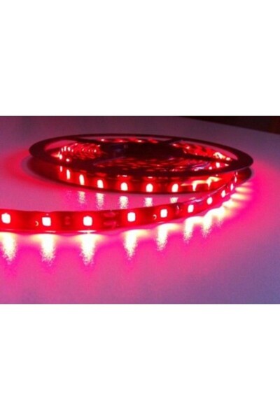 Xenon Bright Bandă LED roșie 60 LED-uri/metru, 12V, impermeabilă, rolă de 5 m...