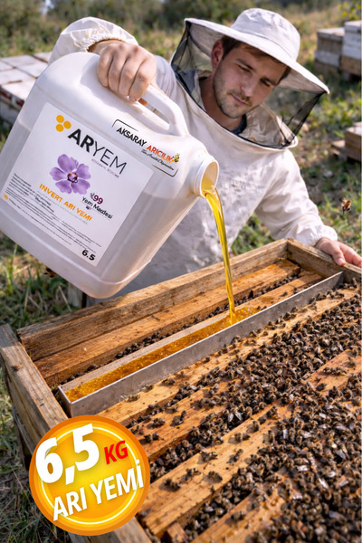 ARYEM Arı Yemi İnvert Şurup - 6,5 KG