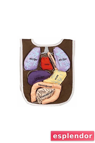 esplendor AND-5011 أرغن مريلة أرغن مع شريط فيلكرو