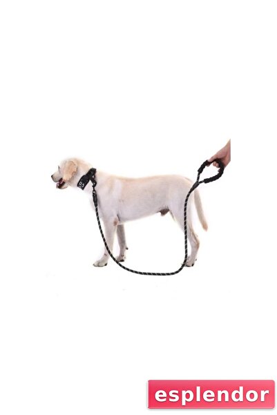 esplendor طوق كلب عاكس للضوء 130 سم.