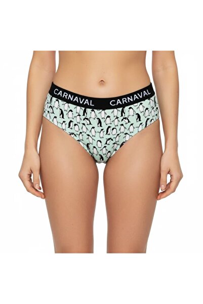CANMODA Penguin Patterned Colorful Premium Women's Brazilian Briefs 95% Cotto...