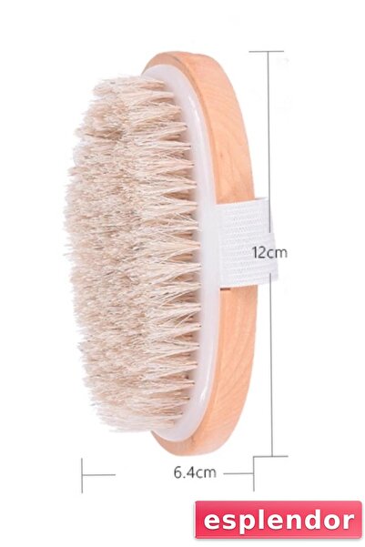 esplendor فرشاة السيلوليت الطبيعية 100% من شعر الحصان توفر مظهرًا لامعًا وناع...