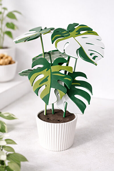 ZEYM COLLECTION Decorative Monstera Leaf Coasters (6 Pieces) – 3D Printing