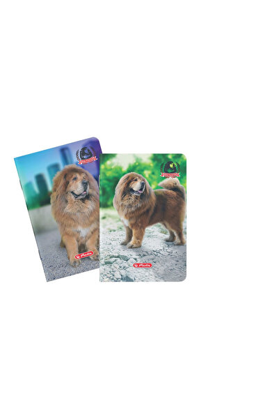 Herlitz Caiet A5 48 file – patratele, hartie 70g/mp, modele diverse