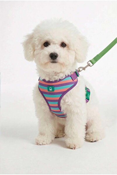 United Colors of Benetton BNT-A2508 Kedi Köpek Göğüs Tasması Hava Ağ mor