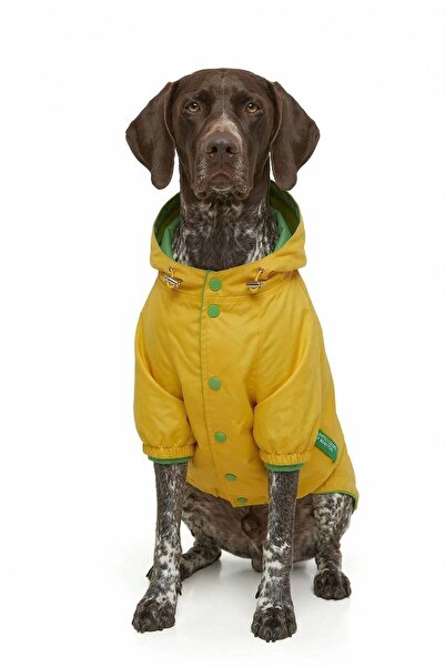 United Colors of Benetton Bnt-Rc2501 Cat and Dog Outfit Raincoat Yellow