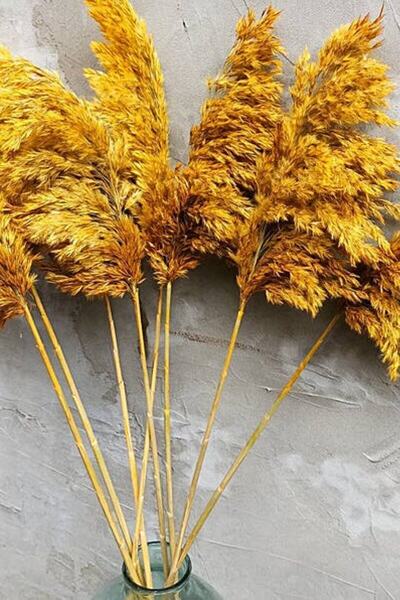 TROYA 10'lu Büyük Demet Pampas Sarı 100cm