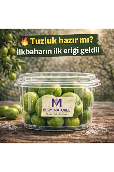 MGM NATUREL MUT ERİK YEŞİL CAN ERİK 250 GR