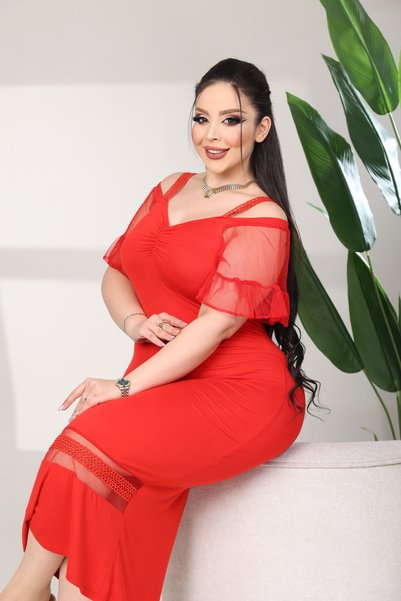 BONİTA FASHİON Plus Size Ruffled Tulle Sleeves Thick Straps Front Ruched Hem Tulle Above Top Lace Above Skirt Stretchy Fabric Dress