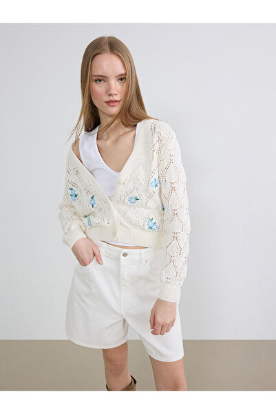 LC Waikiki Vizyon New Season V-Neck Embroidered Women's Knitwear Cardigan