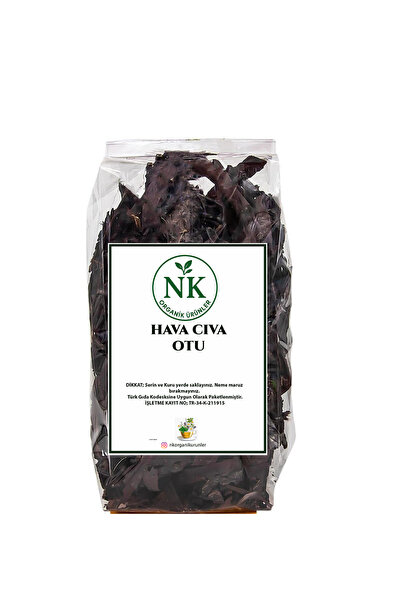 nk organik Air mercury 40gr