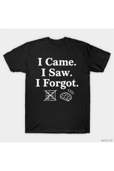 Flood Of Style Creierul supramultiplu stimulat_ Am venit, am văzut, am uitat....