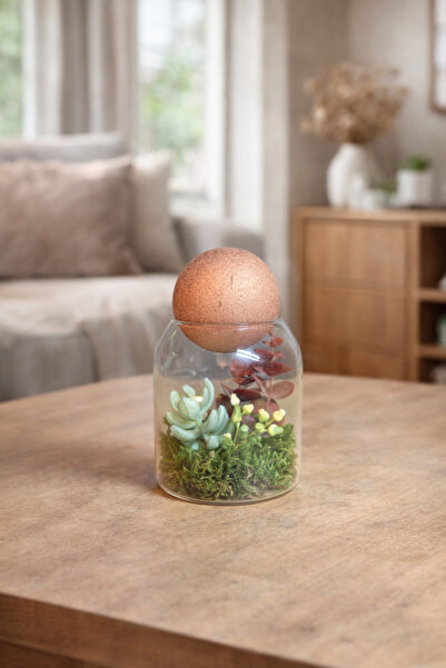 Decoroon Mini Cam Fanus Teraryum – Dekoratif Masaüstü Bitki Tasarımı – Modern...