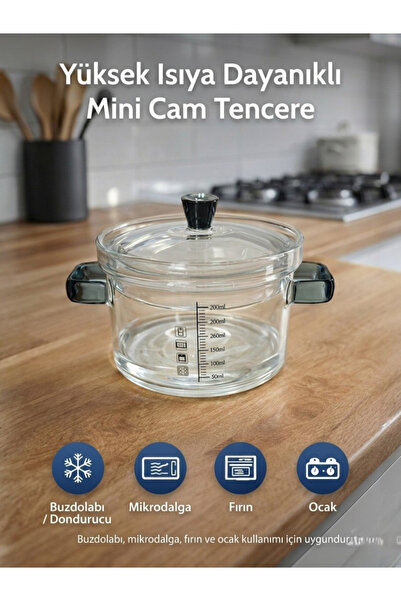 Padilon High Heat Resistant Mini Glass Pot, Compatible with Microwave, Oven, ...